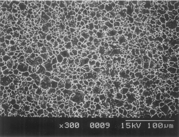 316l2b_1
