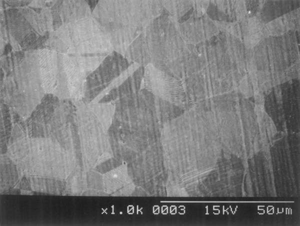 316lba_2