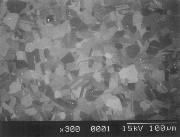 316lba_3
