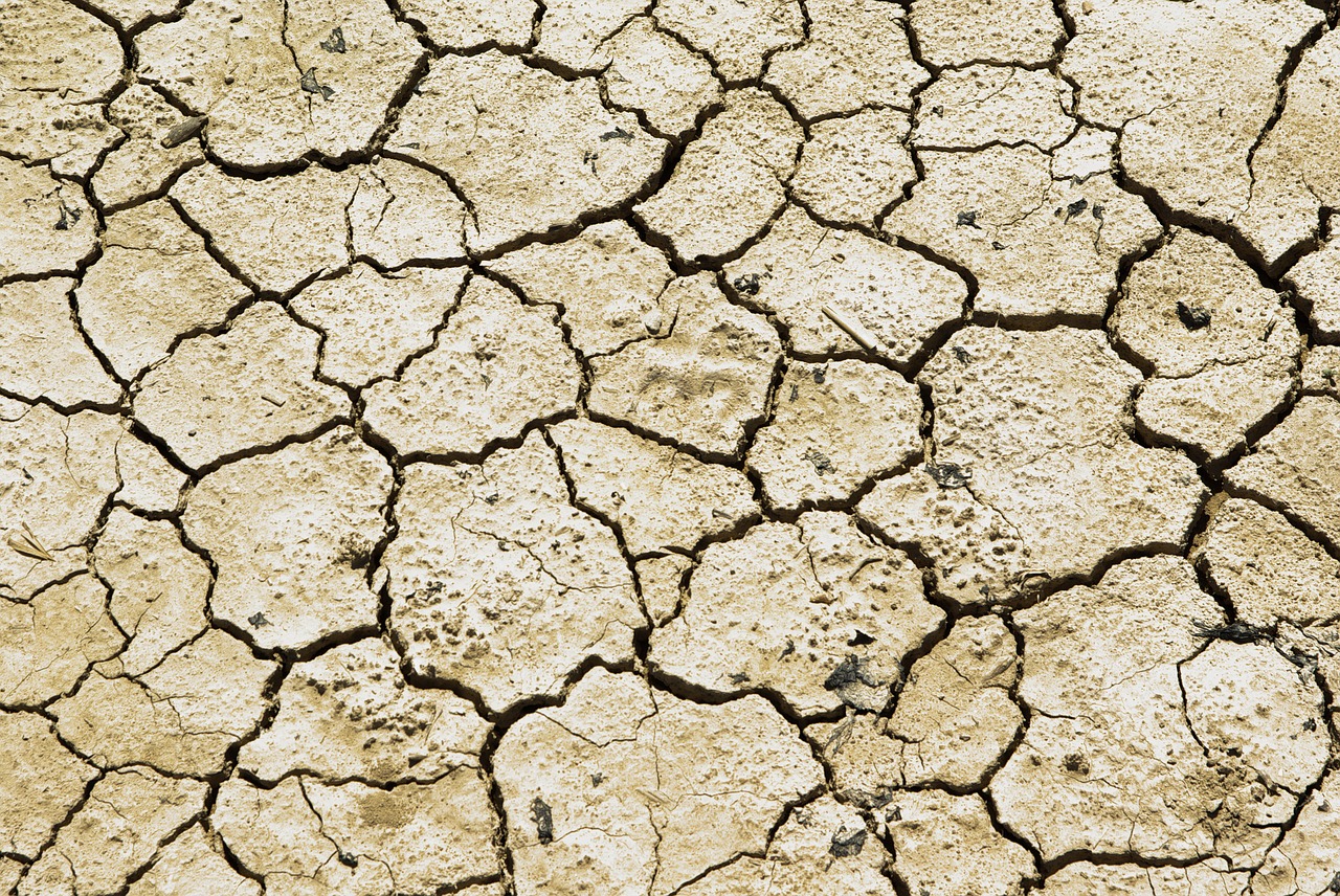drought-image
