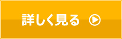 詳しく見る