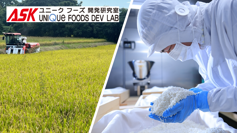 甘酒・麹製造現場の様子